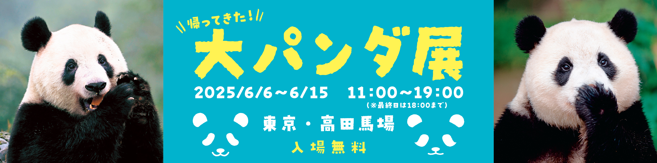 大パンダ展帰ってきた_yokonaga