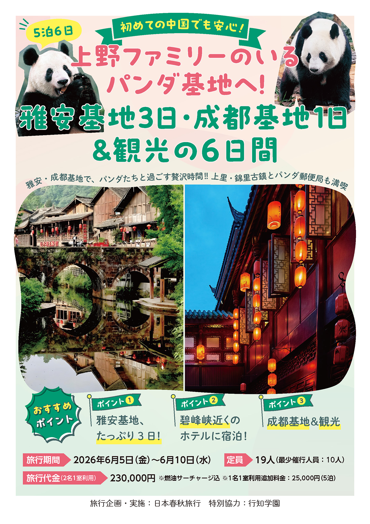 260605出発_シャンシャンツアー_チラシ (1)