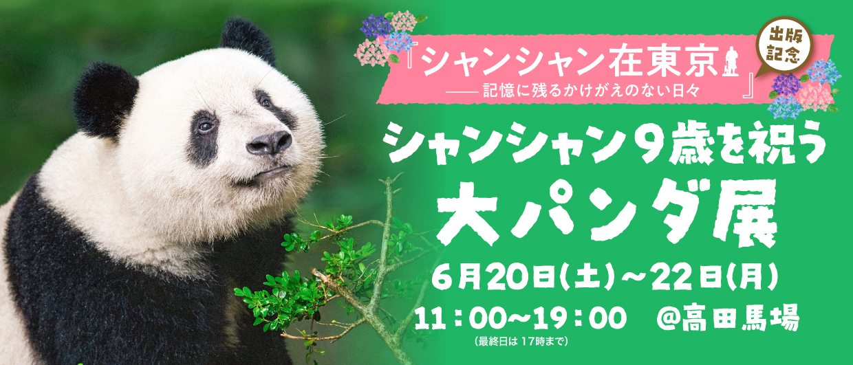 大パンダ展リリース用