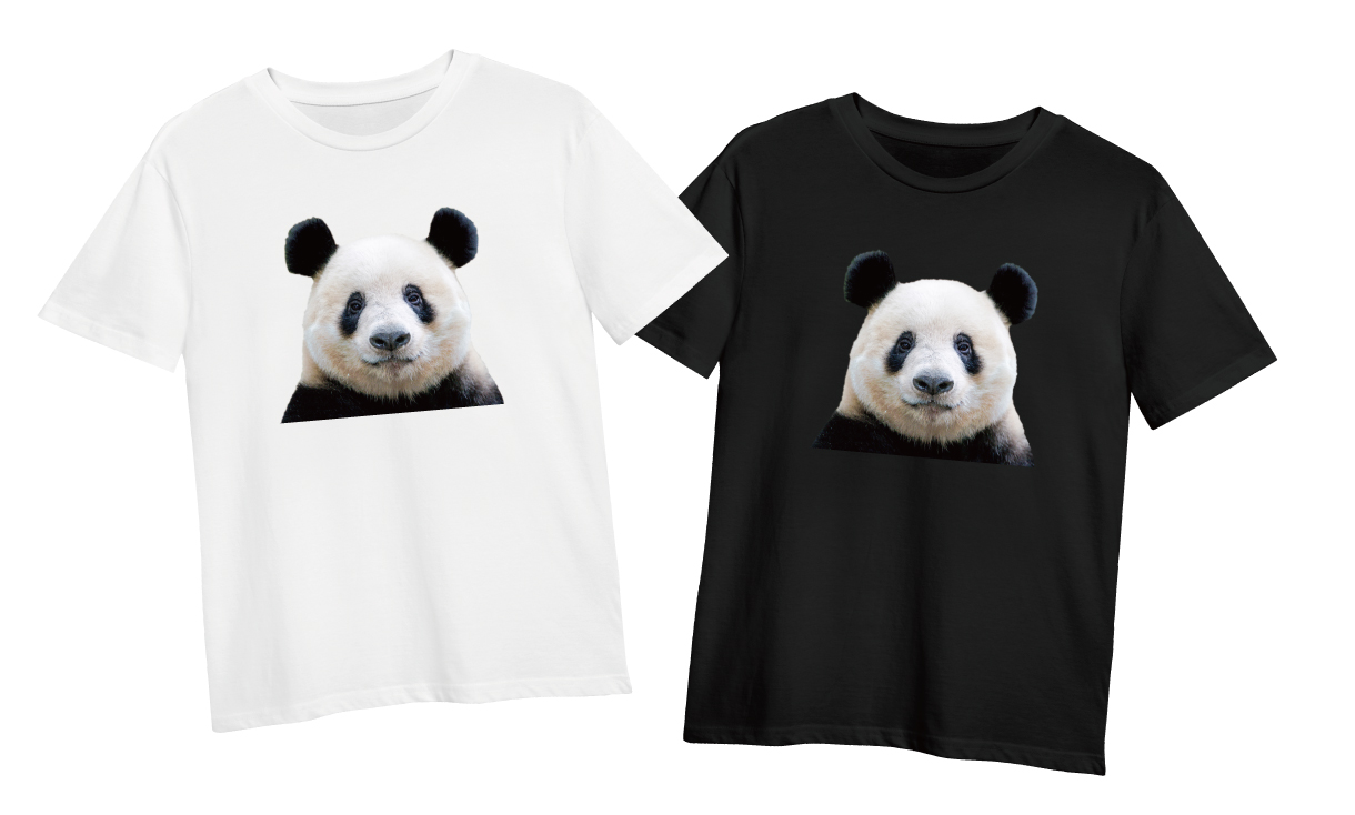 Tシャツ見本2枚