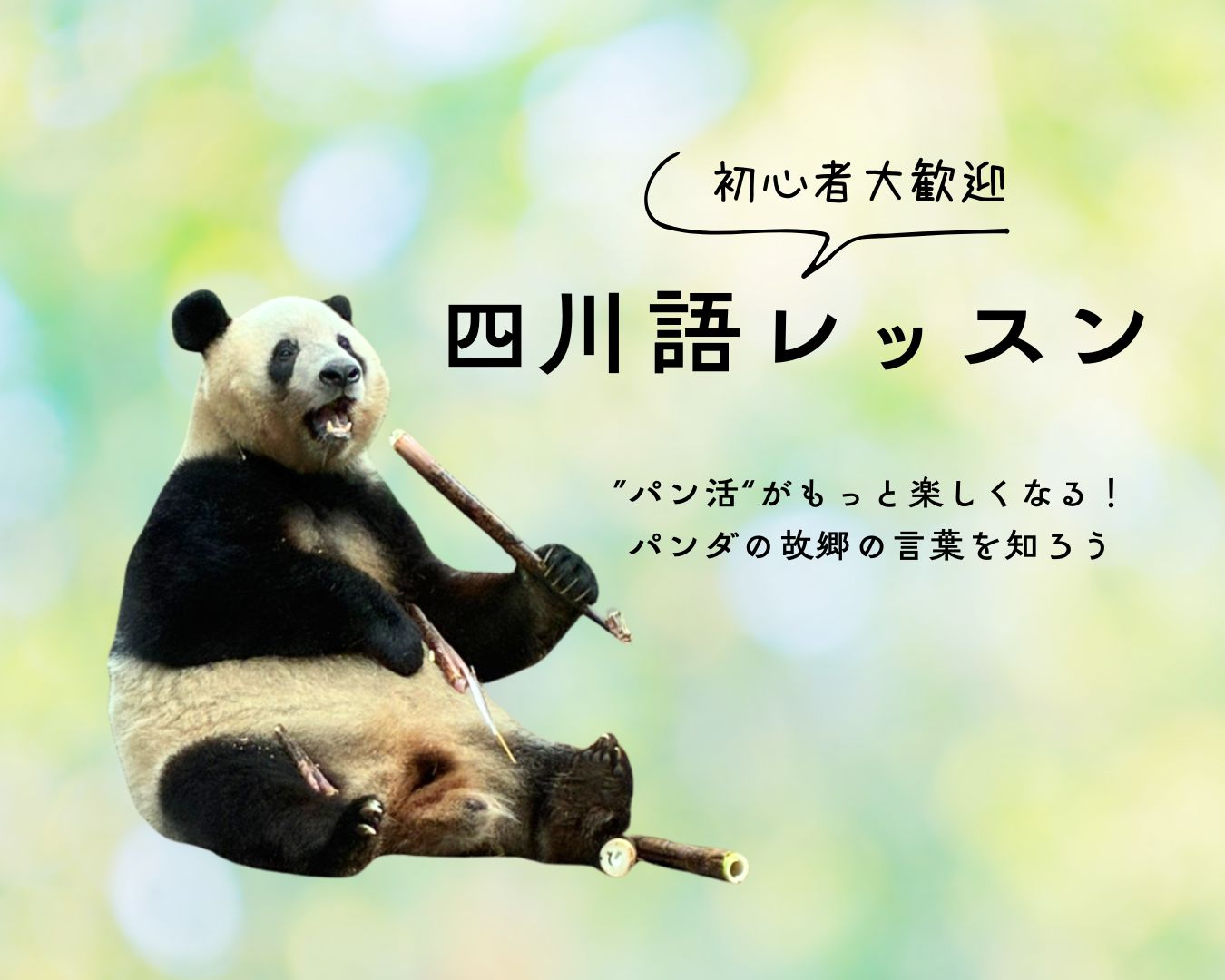シャンシャン