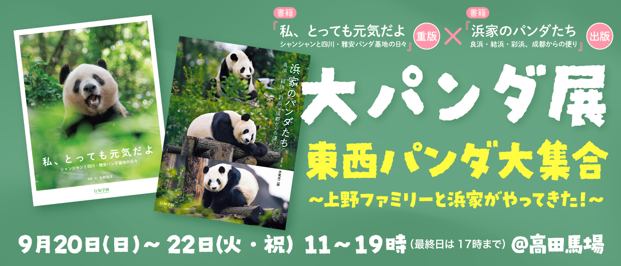 大パンダ展リリース用